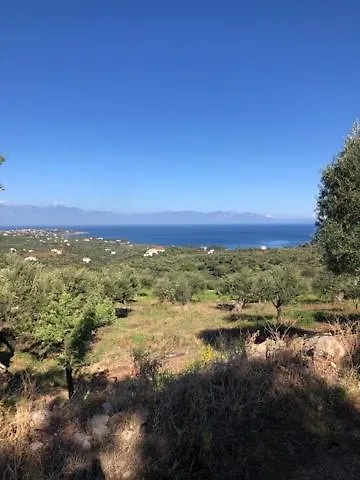 Peony Casa vacanze *