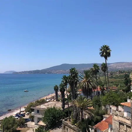 Peony Nyaraló Koróni