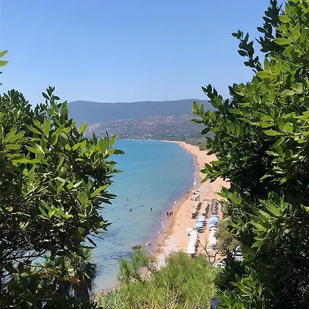 Peony * Koroni (Messinia)