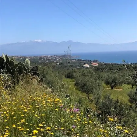 Peony Nyaraló Koróni