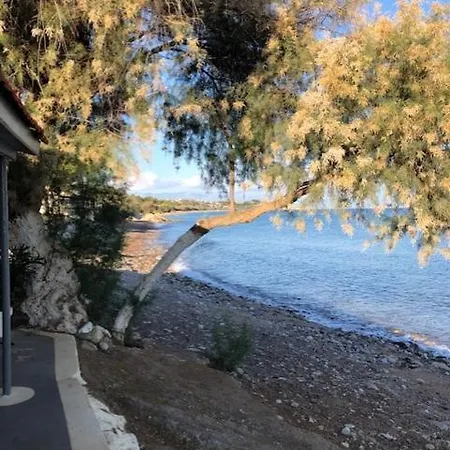 Peony * Koroni (Messinia)