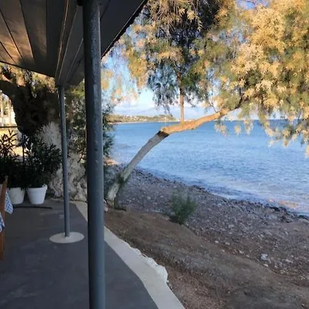 Peony Nyaraló Koróni